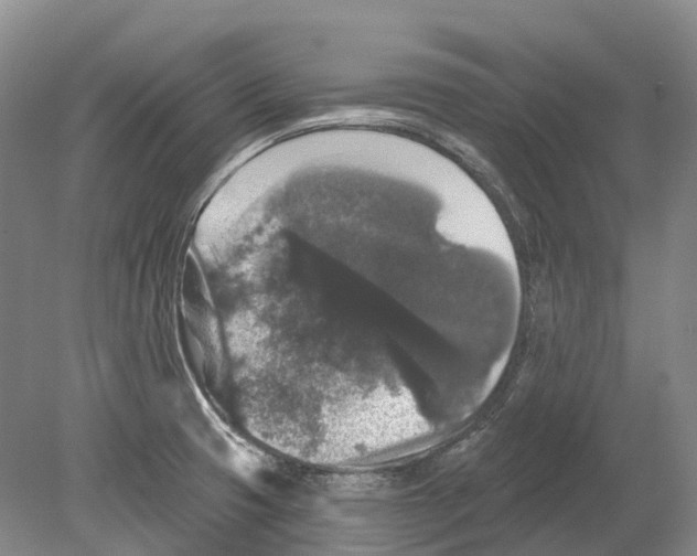 X0000078871425200612111702