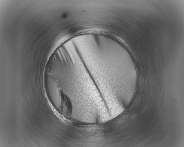 X0000078871426200612111702