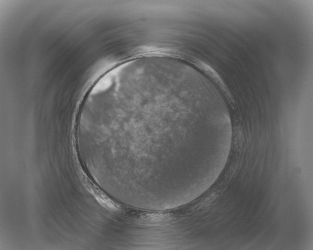 X0000078871427200612111702