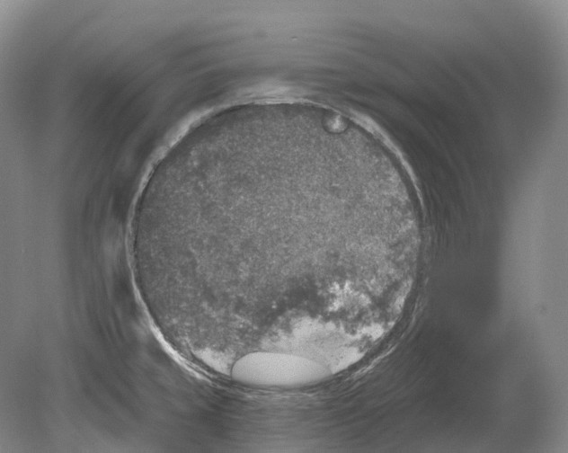 X0000078871429200612111702