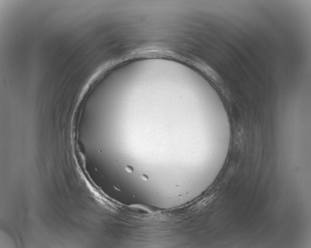 X0000078871430200612111702