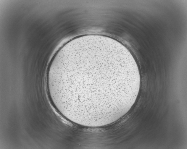 X0000078871432200612111702