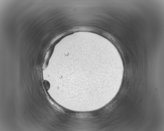 X0000078871433200612111702