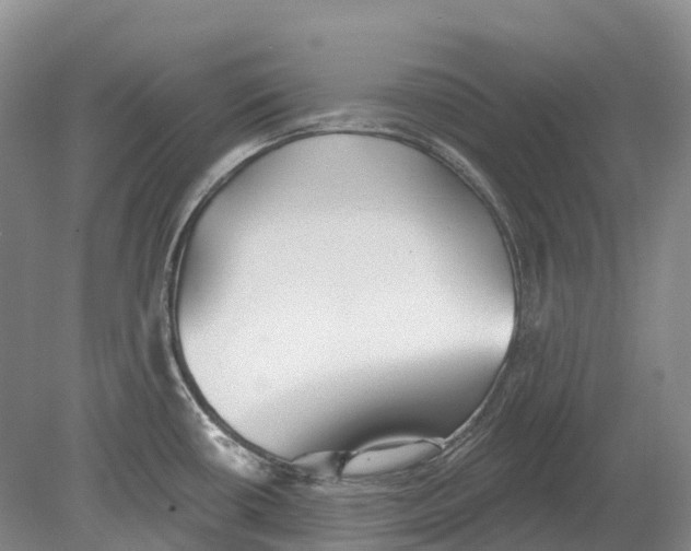 X0000078871434200612111702