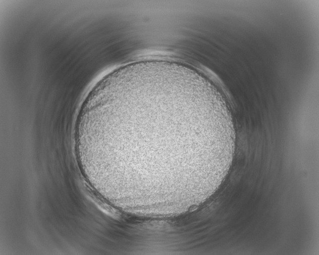 X0000078871435200612111702