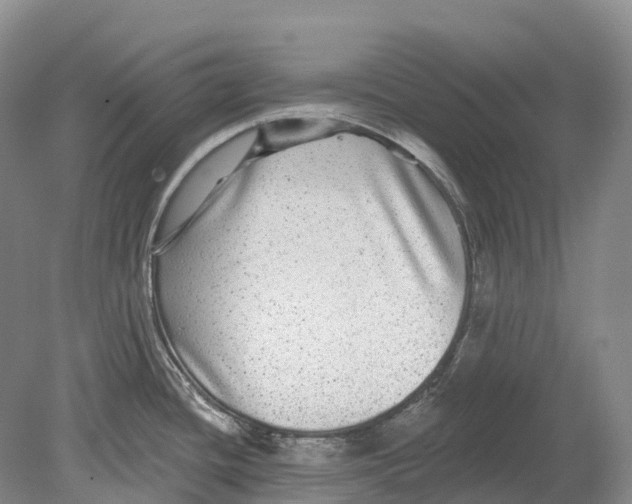 X0000078871436200612111702