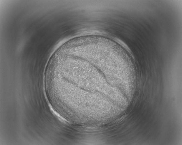 X0000078871439200612111702