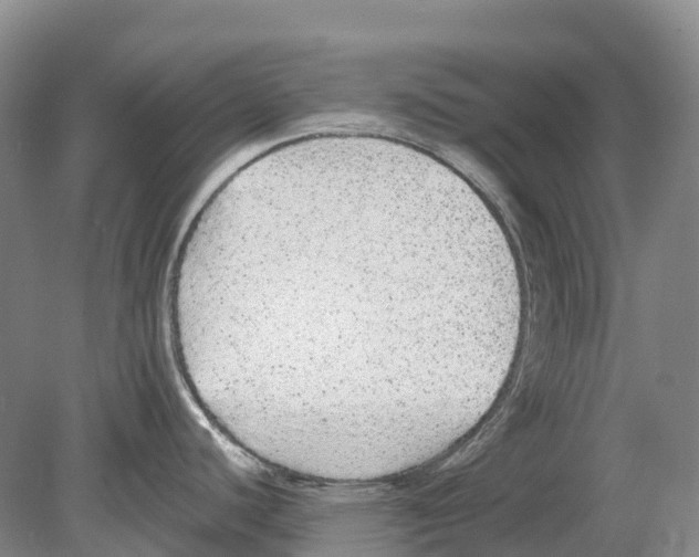 X0000078871440200612111702