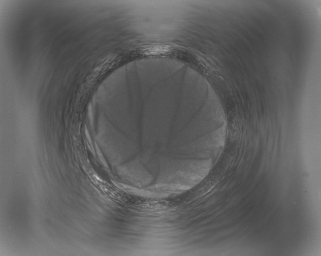 X0000078871441200612111701