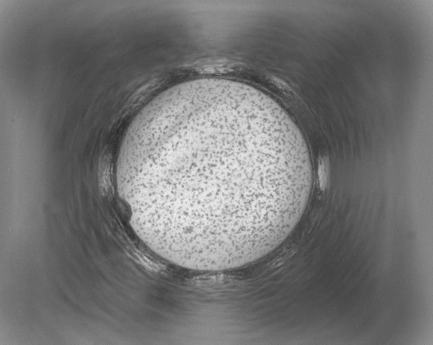 X0000078871444200612111701