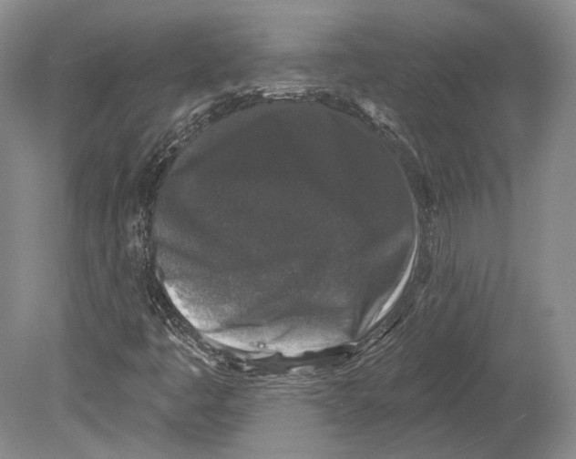 X0000078871445200612111701