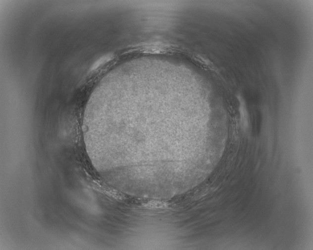 X0000078871446200612111701