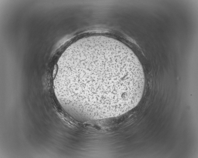 X0000078871448200612111701