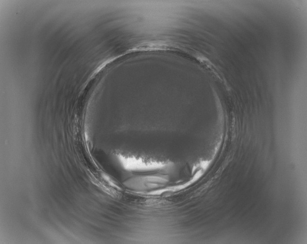 X0000078871449200612111701