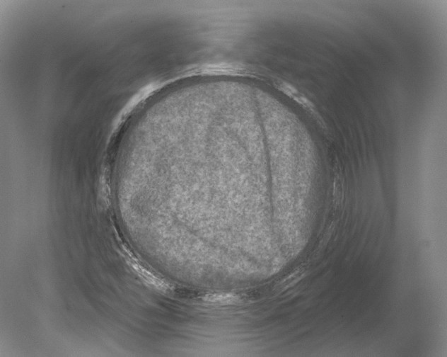 X0000078871454200612111701