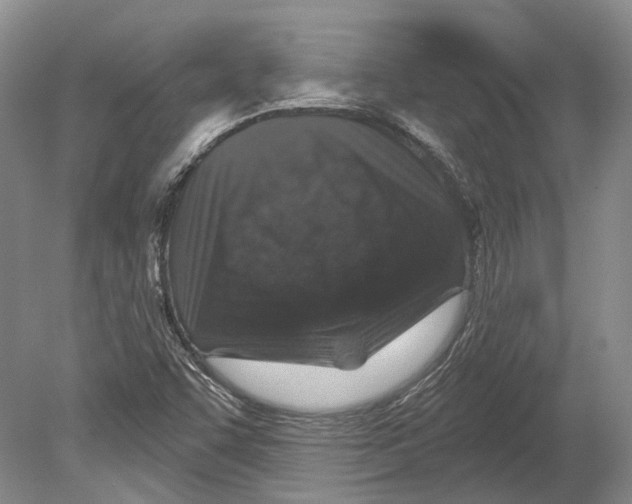 X0000078871455200612111701