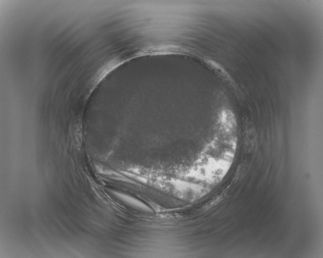 X0000078871457200612111701