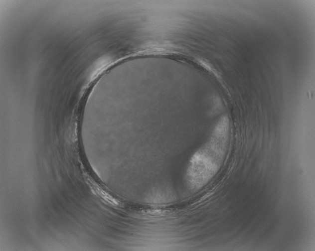 X0000078871459200612111701