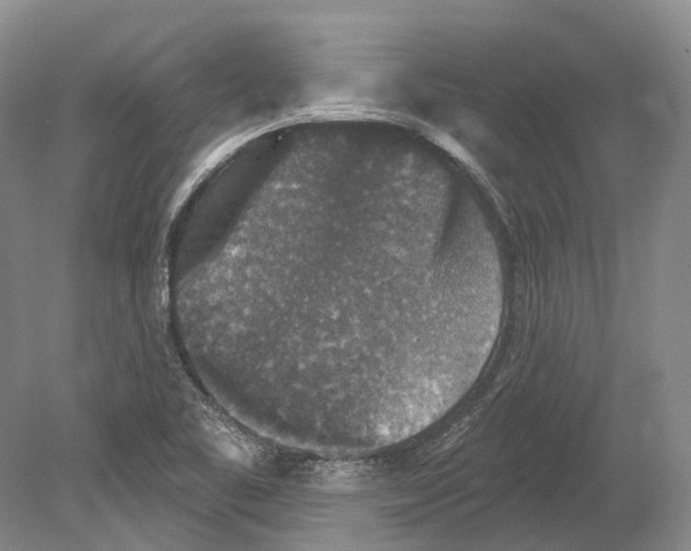 X0000078871461200612111701