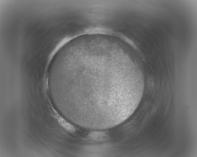 X0000078871462200612111701