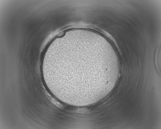 X0000078871464200612111701