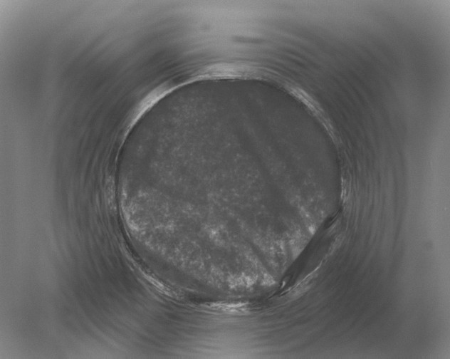 X0000078871465200612111701