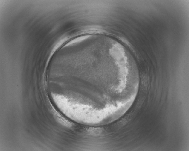 X0000078871466200612111701