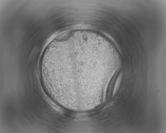 X0000078871467200612111701