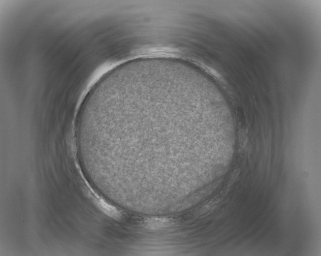 X0000078871470200612111701