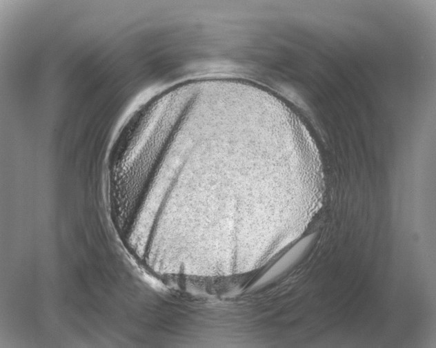 X0000078871472200612111701