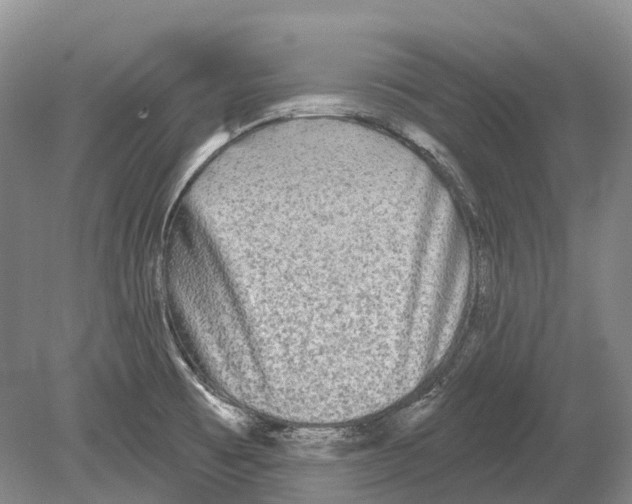 X0000078871473200612111701