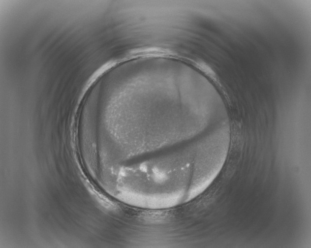 X0000078871474200612111701