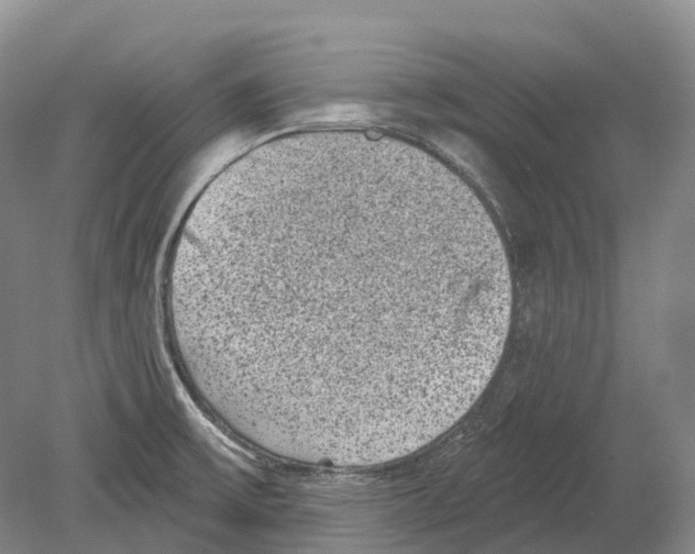 X0000078871475200612111701