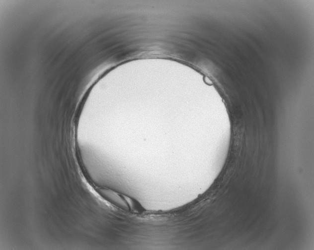 X0000078871476200612111701