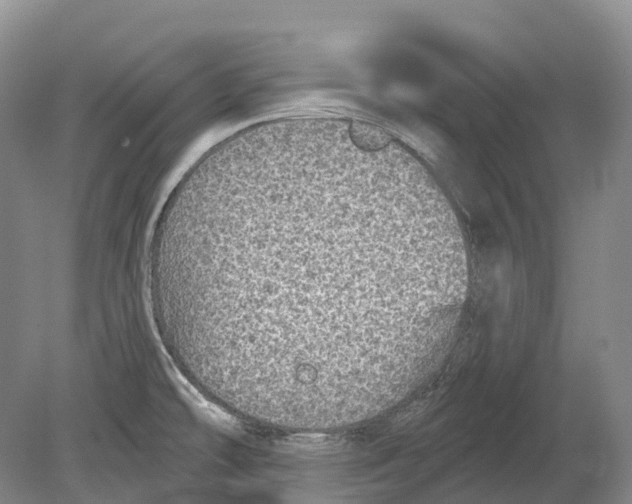 X0000078871478200612111701