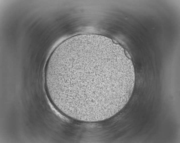 X0000078871479200612111701