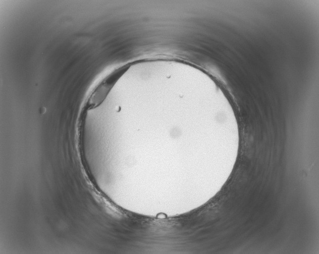 X0000078871480200612111700