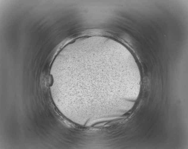 X0000078871481200612111700