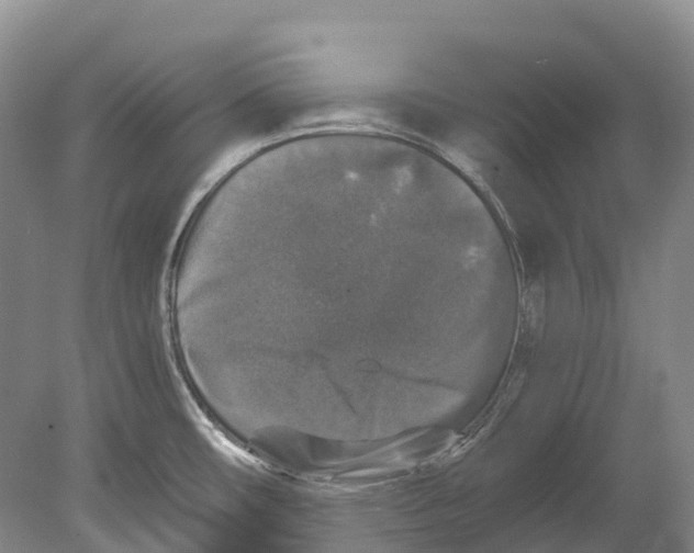 X0000078871482200612111700