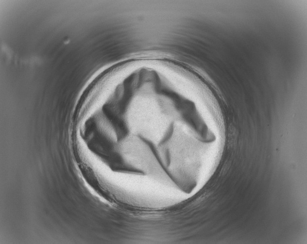 X0000078871484200612111700