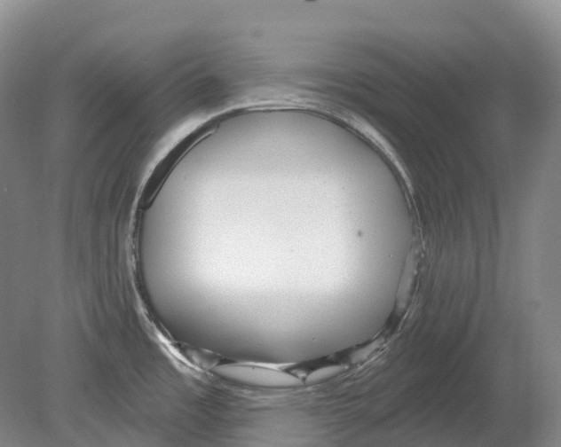 X0000078871485200612111700