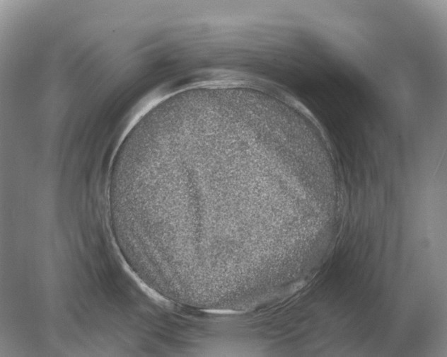 X0000078871487200612111700