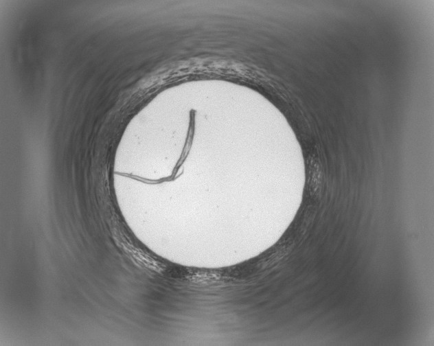 X0000078871489200612111700