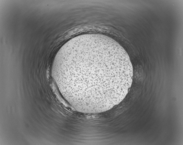 X0000078871490200612111700