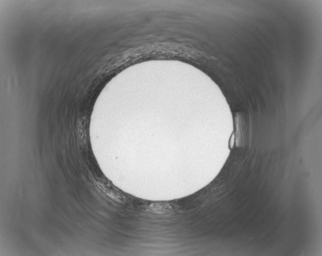 X0000078871491200612111700