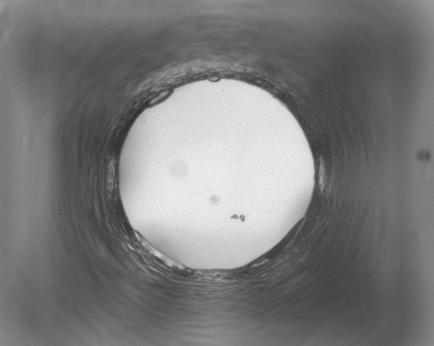 X0000078871492200612111700