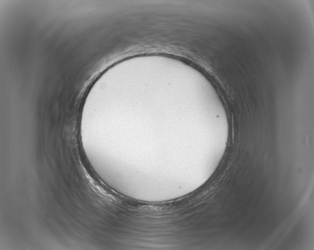 X0000078871500200612111700