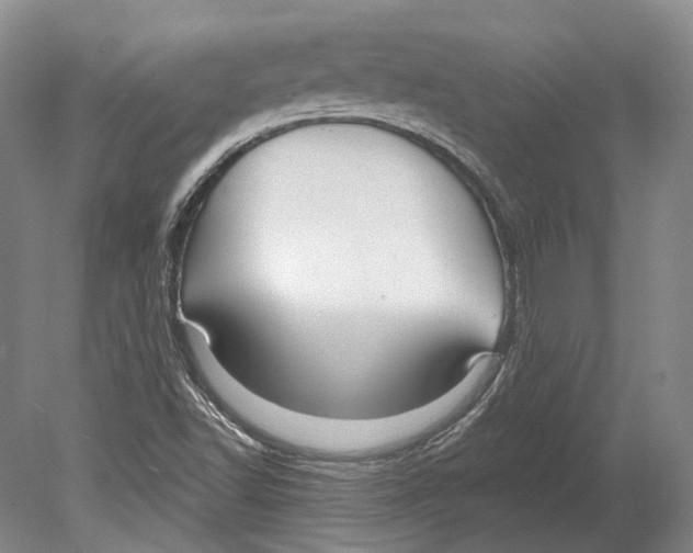 X0000078871502200612111700