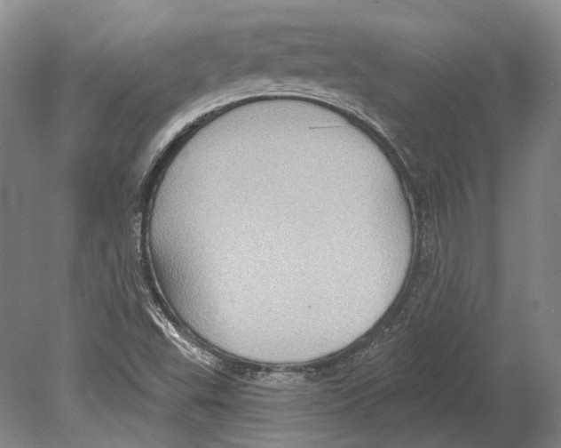 X0000078871503200612111700