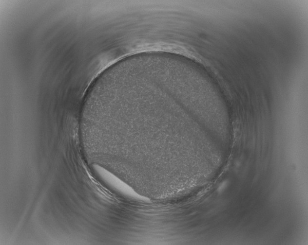 X0000078871505200612111700